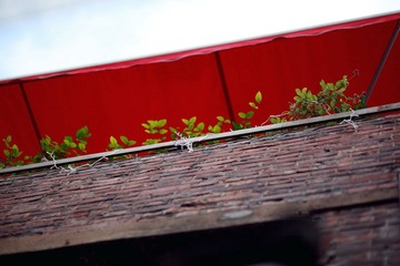 DPP_0039.JPG