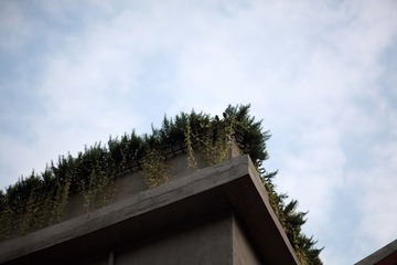 DPP_0040.JPG