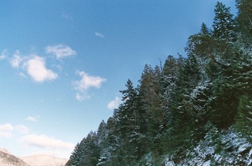 009_9 (2)