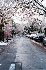 012_12 (2)
