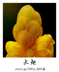 火炬.jpg