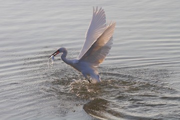 _MG_7390.jpg