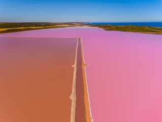 粉湖2