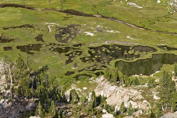 DSC_1135.jpg