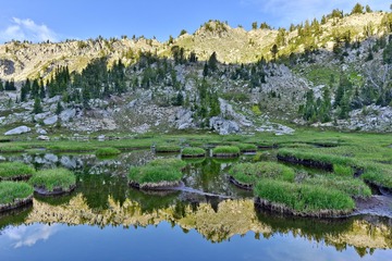 DSC_1138.jpg