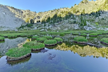 DSC_1170.jpg