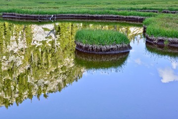 DSC_1198.jpg
