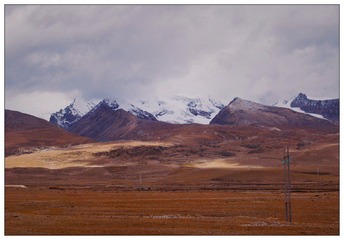 DSC_1459.jpg