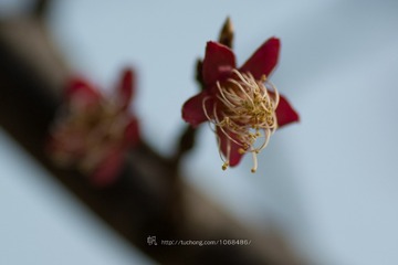 DSC_0007-1