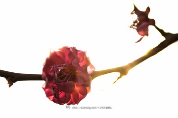 DSC_0032-1-1