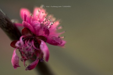 DSC_0043-1-1