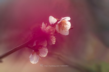 wwDSC_0029-1