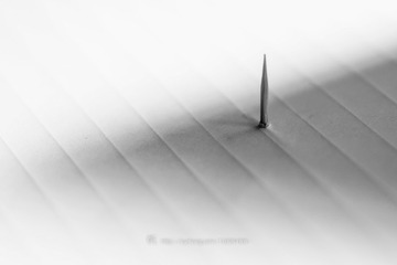 hDSC_0031-1