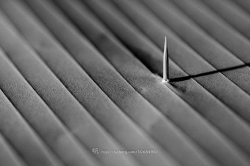 hhDSC_0036-1