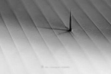 hhDSC_0040-1
