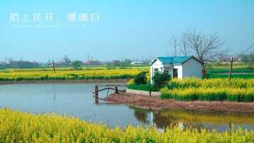 陌上花开缓缓归 饱和度高 xiao.jpg