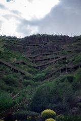 20200531-IMGP5069