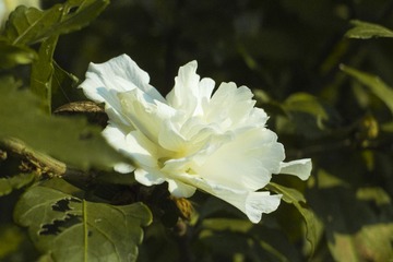 P9152459