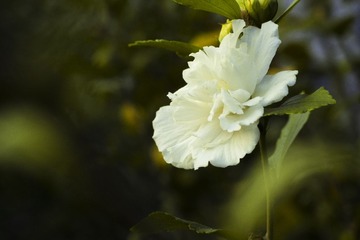 P9202551