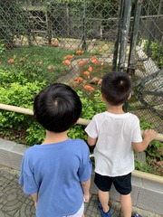 001