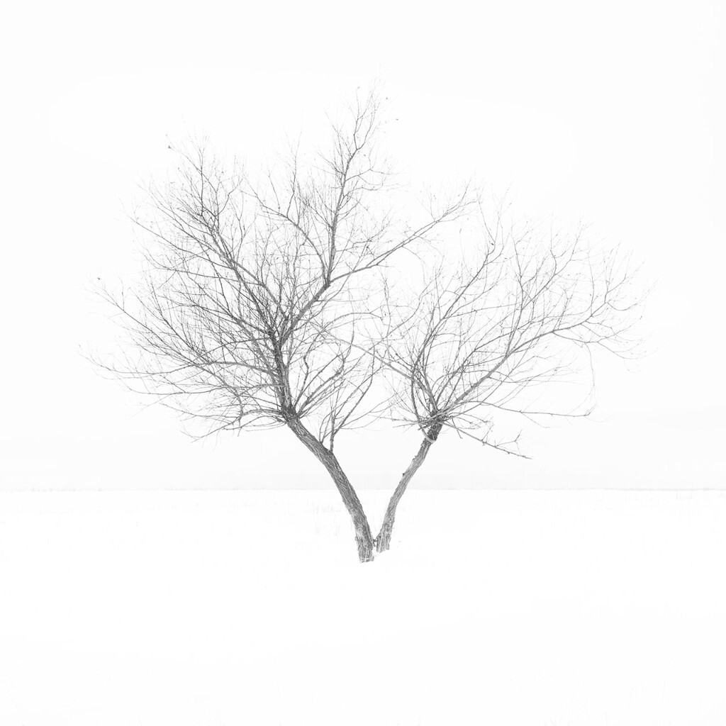 拍摄于2017的第一天，雪中的阿尔山。<br />
跟着<a href="https://tuchong.com/1016586/" target="_blank">@梦游天地间</a> 哥，学到很多，非常感谢！<br />
