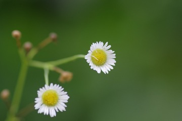 _IMG6330