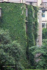 DSC_0036.jpg