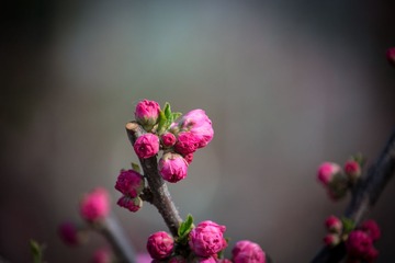 DSC_0135.jpg