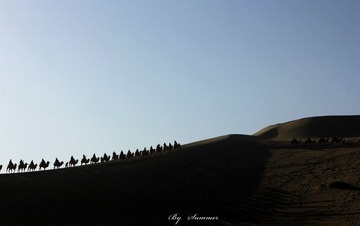 IMG_4478.JPG