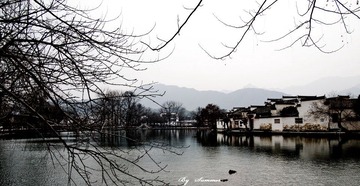 P1030213-11.jpg