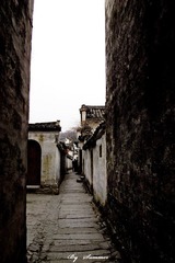 P1030221-21.jpg