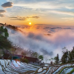 梯田人家