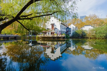 Image00008