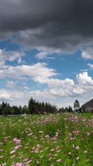 IMG_20150928_172443