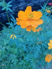 201105011388-001.jpg
