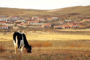 IMG_4745.jpg