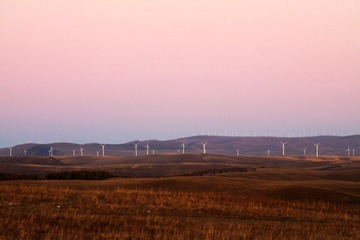 IMG_5120.jpg