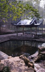 DSC_4003.jpg