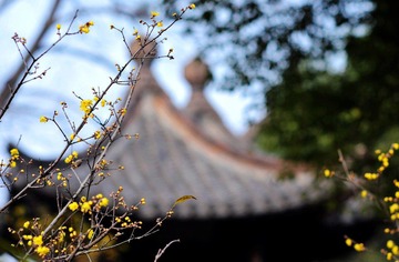 霜云亭.jpg