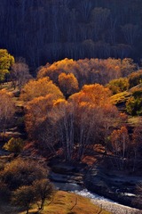 高家营子附近，溪水.jpg