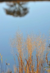 蛤蟆坝，倒影.jpg