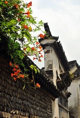 龙门，红颜.jpg