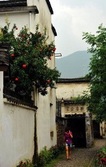 龙门，石榴.jpg