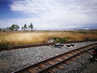 4591492