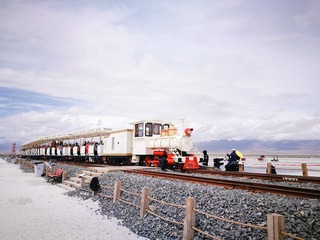 4591493