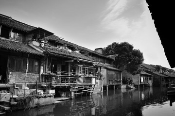 DSC_0249.jpg