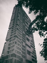 2014-05-02 1619271