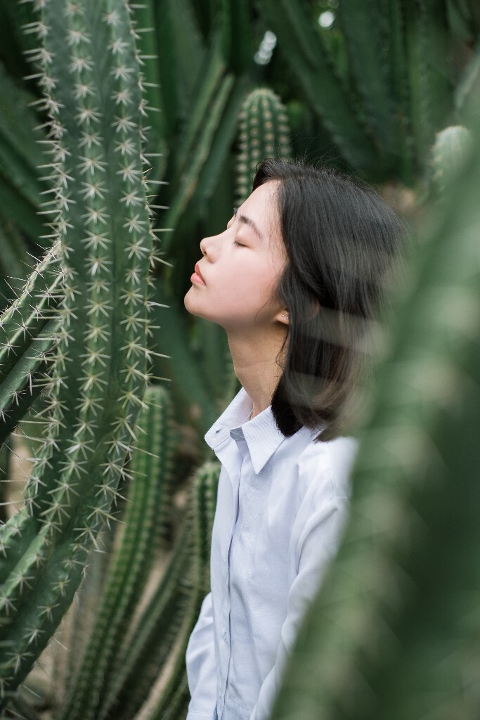 虽刺犹人爱,不与其他同.