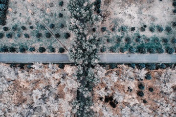 《林间》