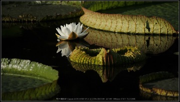 _MG_6696_??